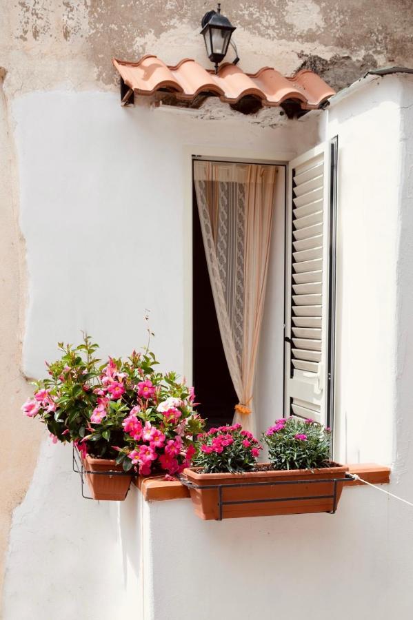 Il Riccio Apartment 28 Redang Island Dış mekan fotoğraf
